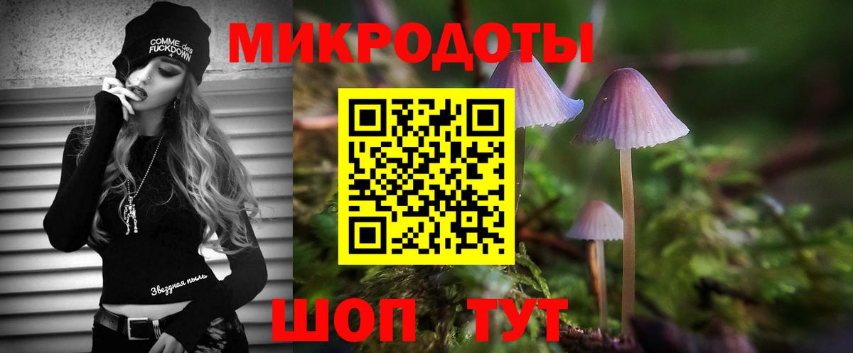Псилоцибиновые грибы Magic Shrooms  Вход с VPN  Россия 