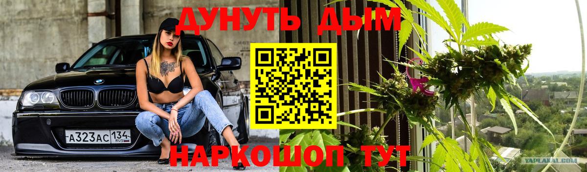 Бошки Шишки индика  Шишки марихуана Bruce Banner  Марихуана тримм  Россия  Вход с VPN  Марихуана марихуана 